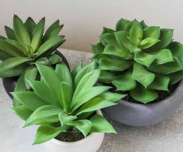 ゲストハウス Vita Home